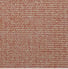 Coral Fabric Colour